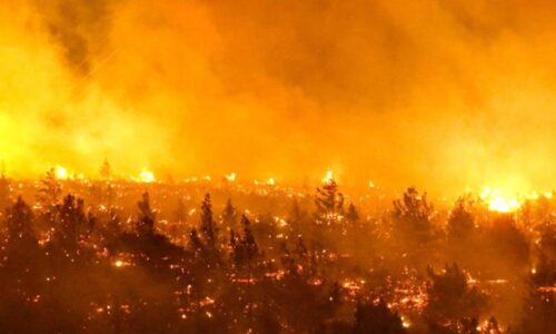 En estado de catástrofe los incendios forestales activos en Chile