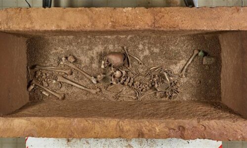 ¿Ahora han encontrado un sarcófago? ¿Qué contiene?