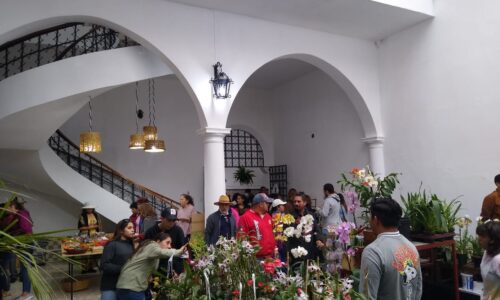 Impulsa Museo de la Orquídea llegada de turistas a Coatepec