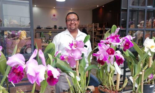 Coatepec, Veracruz se consolida como la Capital de las Orquídeas de México