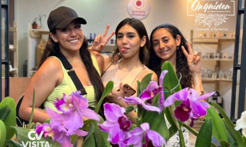 Por Semana Santa, turistan llegan a Coatepec para disfrutar del Festival Internacional de la Orquídea