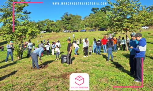Siembran 300 árboles en libramiento a Coatepec