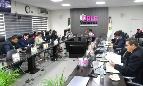 OPLE Veracruz emite lineamientos para la implementación de acciones afirmativas en favor de grupos en situación de vulnerabilidad