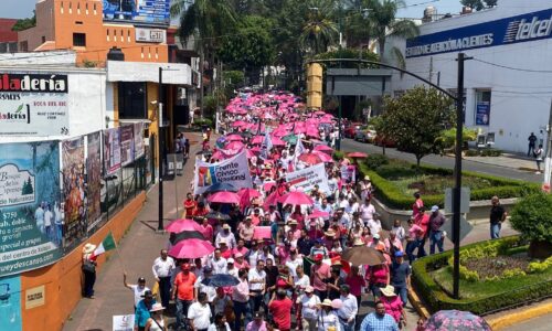 Marea Rosa reúne miles de personas en Xalapa