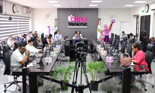 Aprueba OPLE Veracruz Titularidad a dos miembros SPEN, en la Dirección Ejecutiva de Organización Electoral