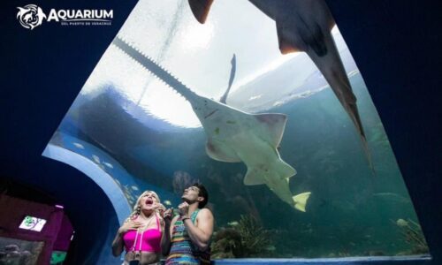 Wendy Guevara y Emilio Osorio visitan el Aquarium del Puerto de Veracruz