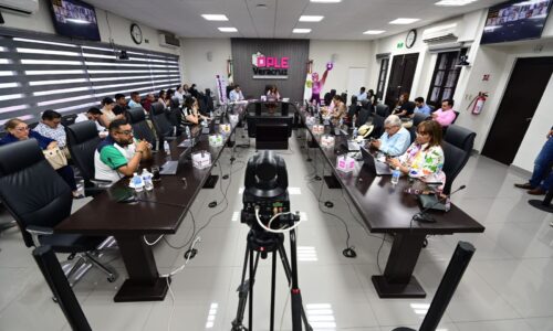 Consejo General del OPLE Veracruz aprueba Programa Anual de Incentivos de las y los miembros del SPEN