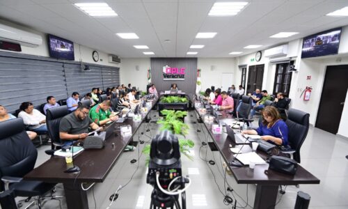 Consejo General del OPLE Veracruz aprueba designación de integrantes en consejos distritales 05 Poza Rica y 06 Papantla