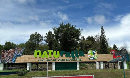 Parque Naturalia será entregado en agosto, Cuitláhuac revisó avances