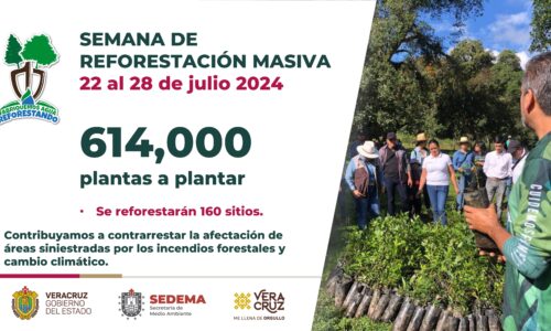 Durante la Semana de Reforestación plantarán medio millón de árboles: SEDEMA
